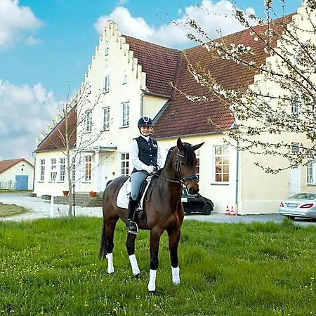 Boutique Gut Tribbevitz Szálloda